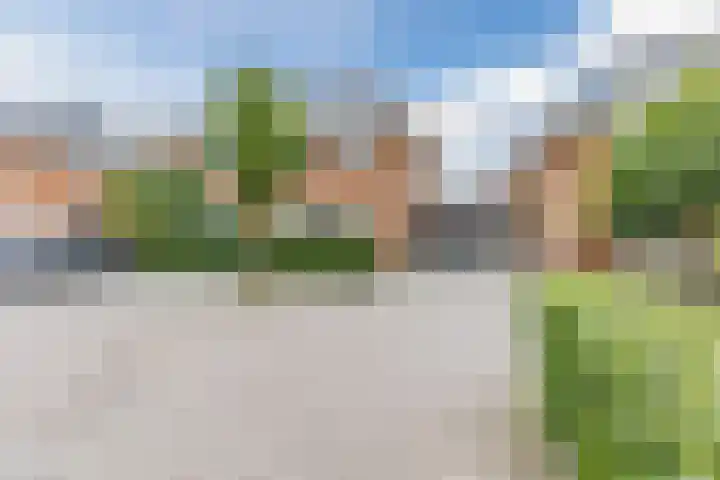 Egelenburgh 4 Assendelft thumbnail 37
