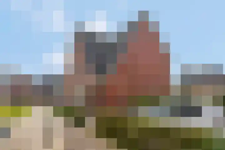 Egelhof 21 Lunteren thumbnail 37
