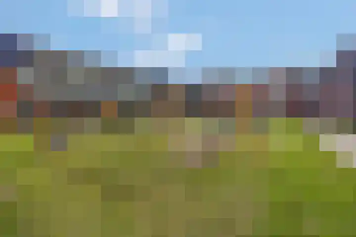 Egelhof 21 Lunteren thumbnail 43