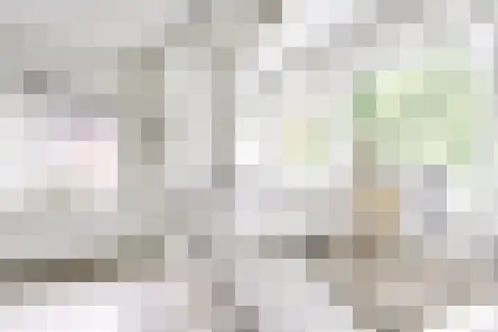 Egelinglaan 26 A Zeist thumbnail 13