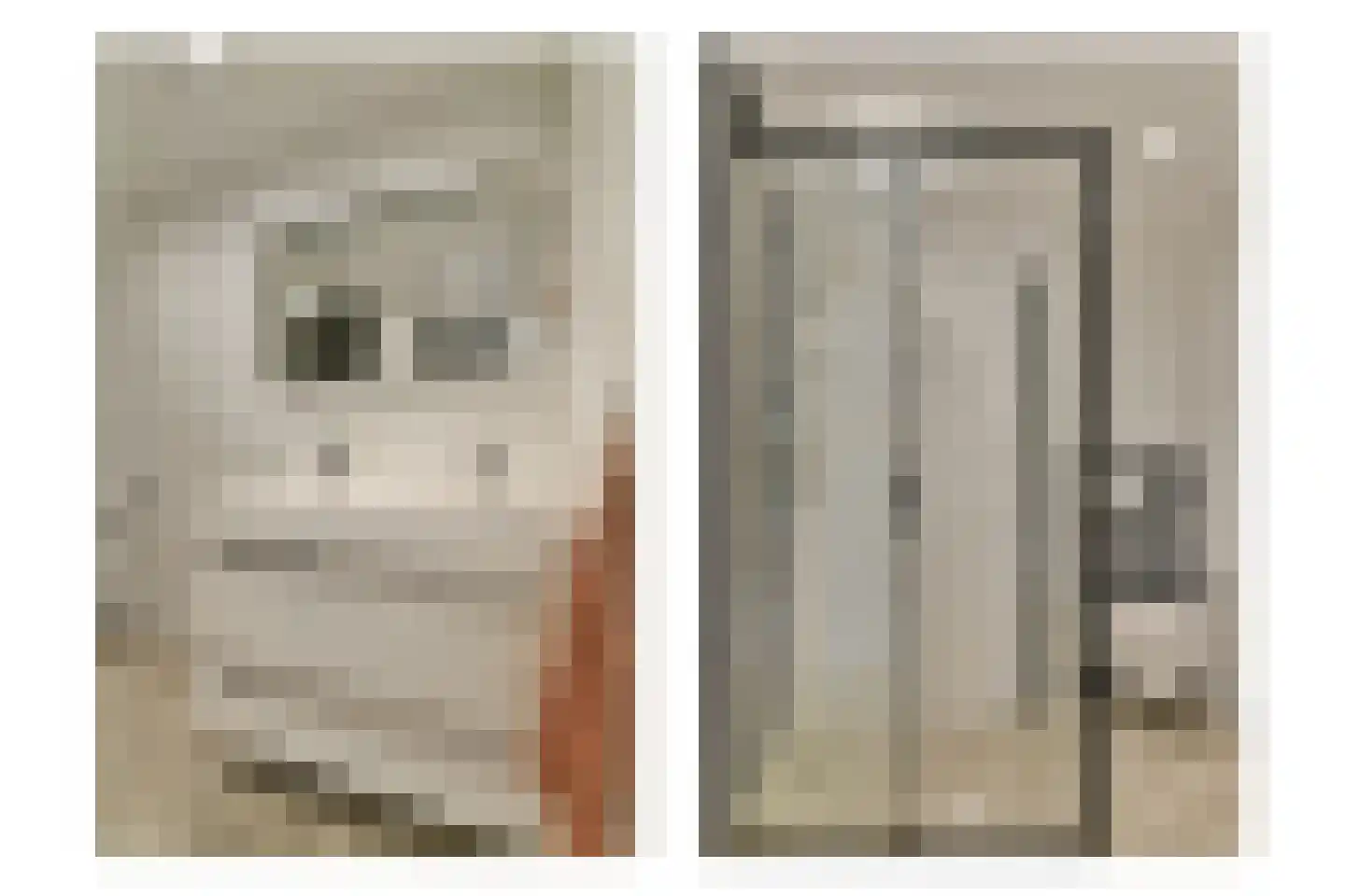 Egelkruid 10 Rotterdam thumbnail 22