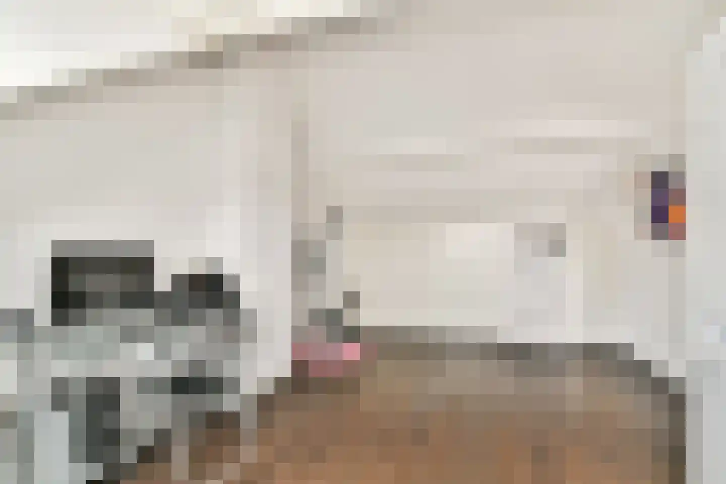 Egelkruid 10 Rotterdam thumbnail 24