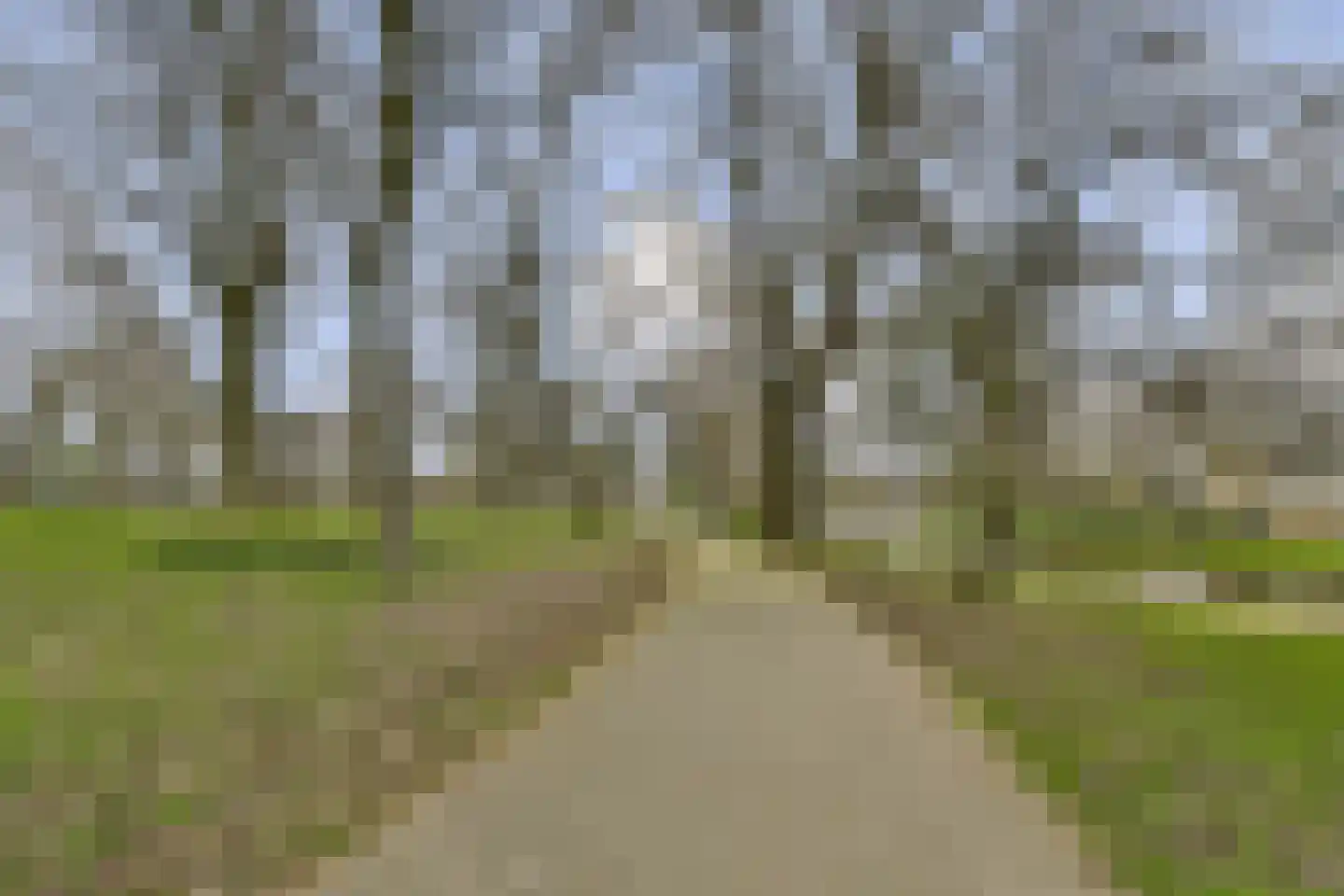 Egelkruid 10 Rotterdam thumbnail 27