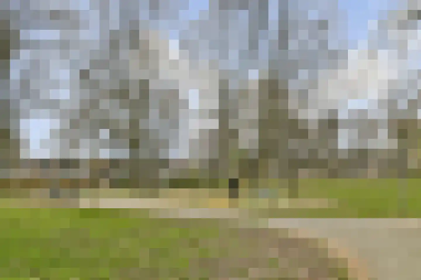 Egelkruid 10 Rotterdam thumbnail 28