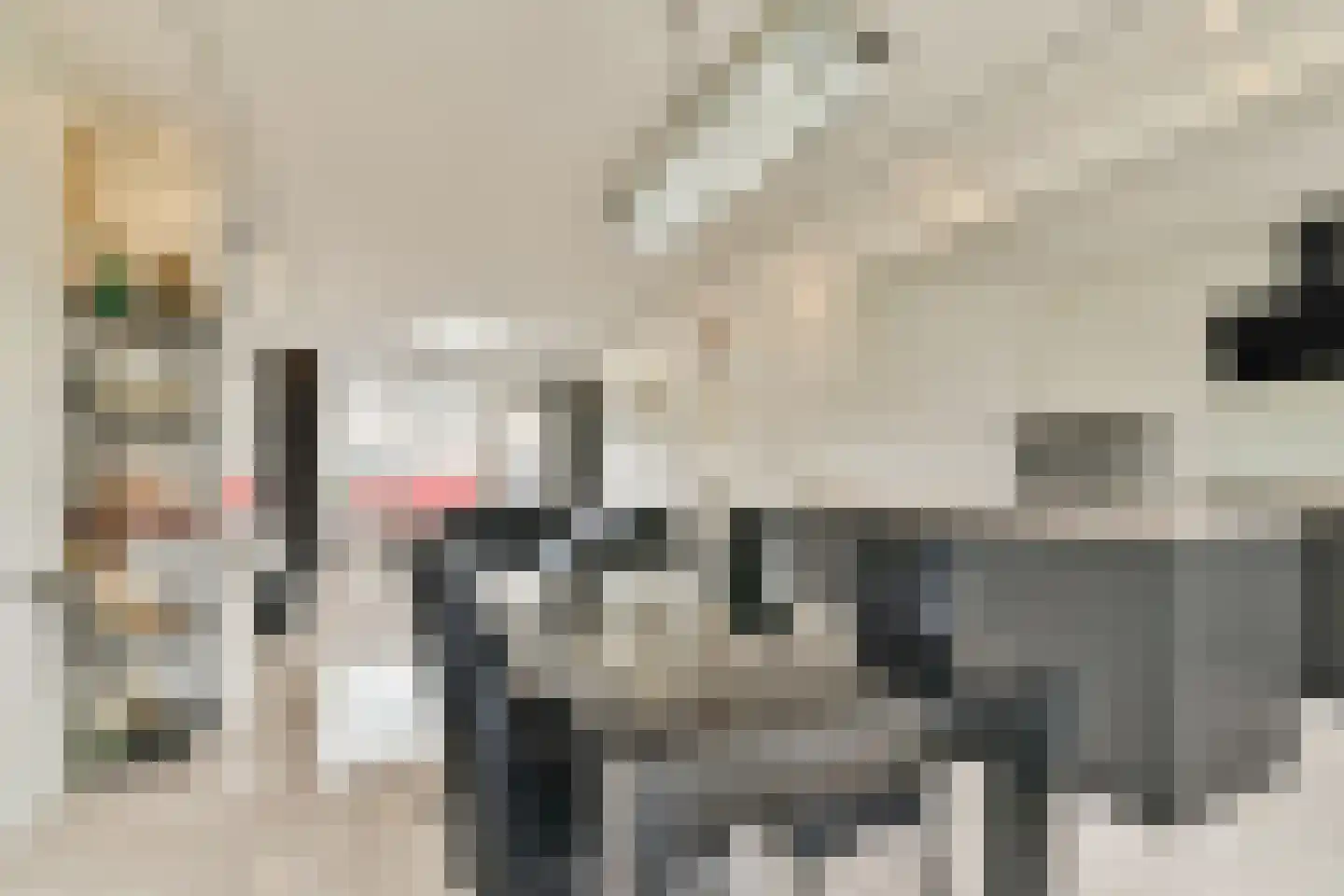 Egelkruid 10 Rotterdam thumbnail 8