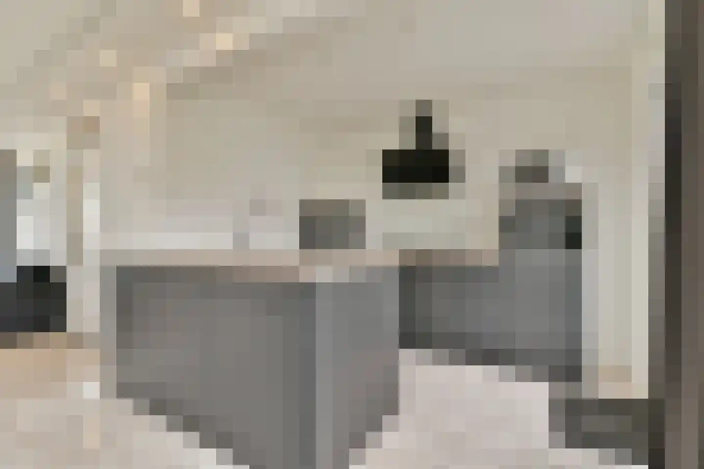 Egelkruid 10 Rotterdam thumbnail 9