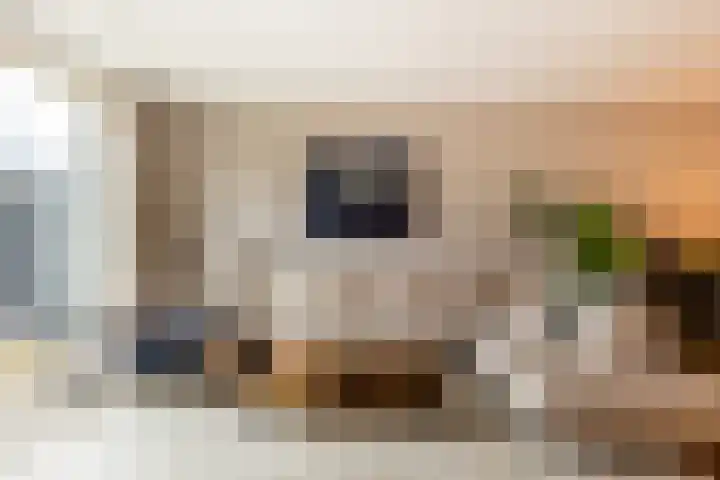 Egelnest 11 Moordrecht thumbnail 13