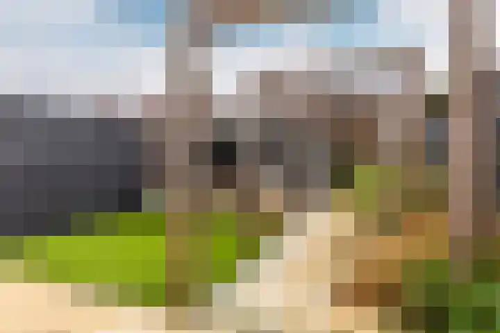 Egelnest 11 Moordrecht thumbnail 43