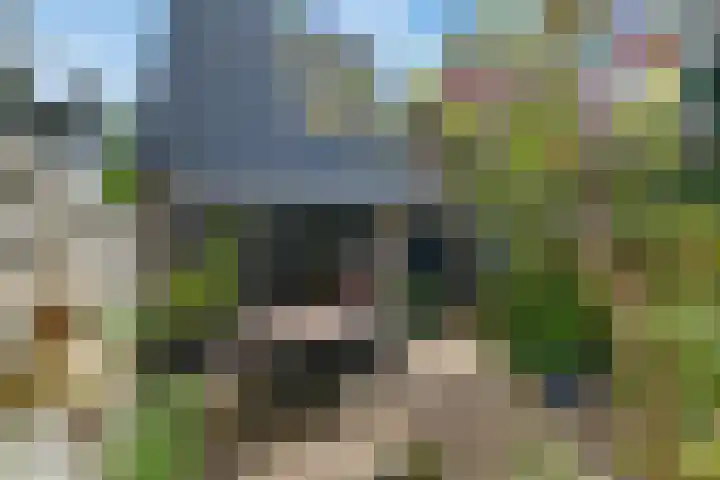Egelsingel 14 Delft thumbnail 31