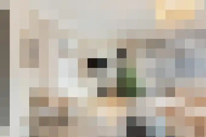 Egelstraat 16 Hilversum thumbnail 12