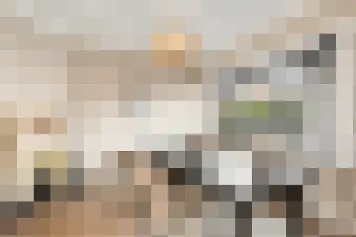 Egelstraat 16 Hilversum thumbnail 15