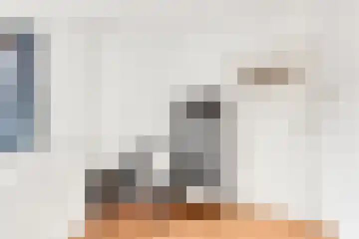 Egelstraat 16 Hilversum thumbnail 27