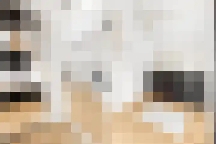Egelstraat 16 Hilversum thumbnail 30