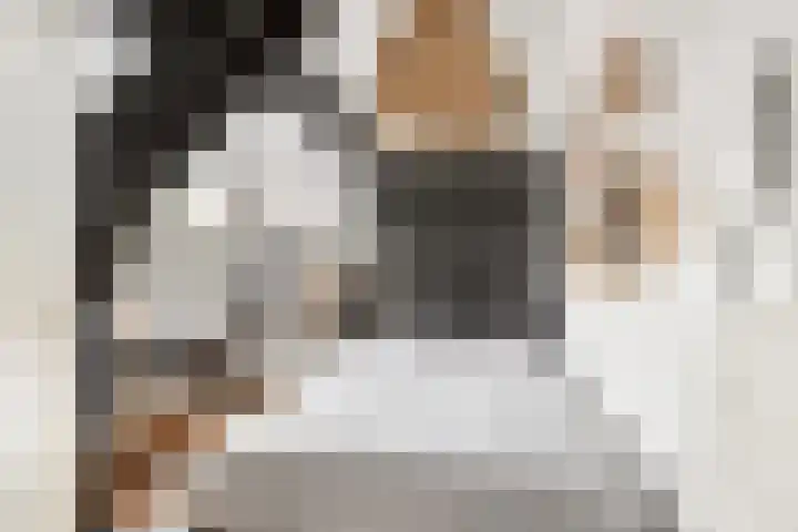 Egelstraat 16 Hilversum thumbnail 31
