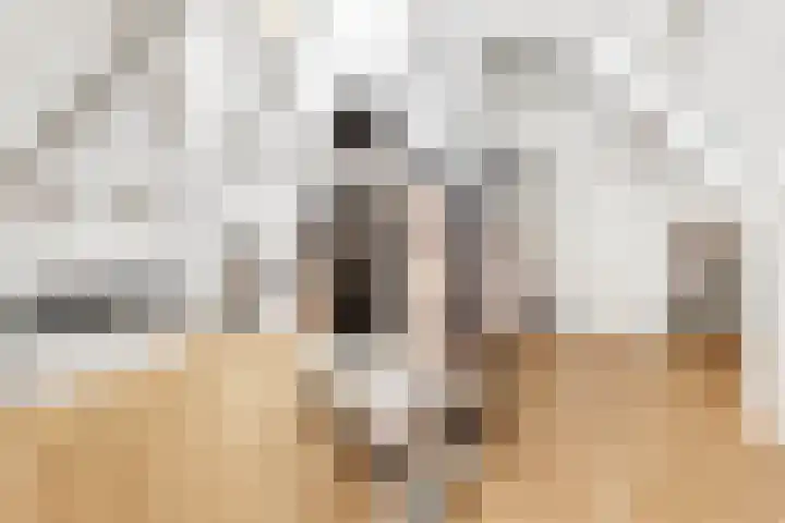 Egelstraat 16 Hilversum thumbnail 33