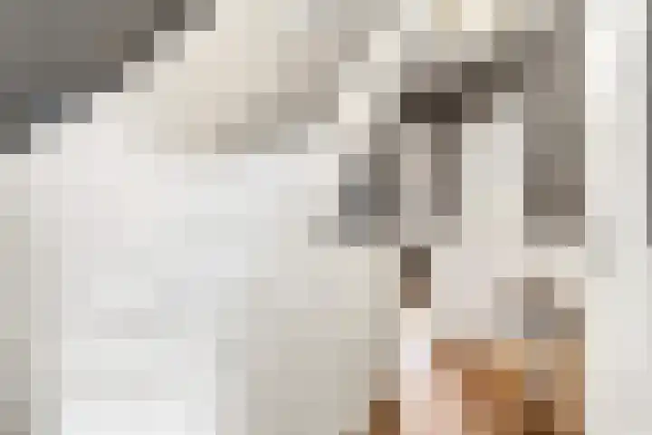 Egelstraat 16 Hilversum thumbnail 7