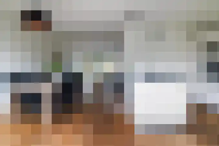 Egeltjeslaar 24 Bavel thumbnail 12