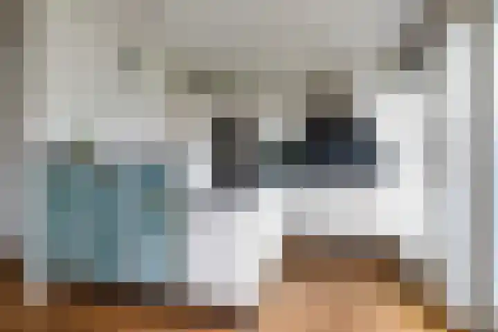 Egeltjeslaar 24 Bavel thumbnail 13