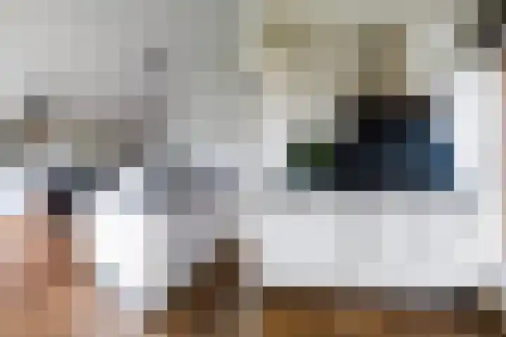 Egeltjeslaar 24 Bavel thumbnail 14