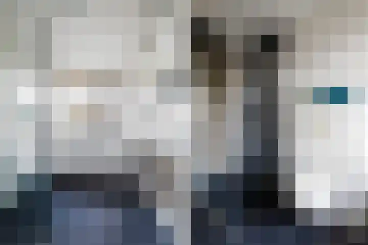 Egeltjeslaar 24 Bavel thumbnail 20