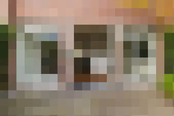 Egeltjeslaar 24 Bavel thumbnail 29