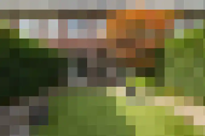 Egeltjeslaar 24 Bavel thumbnail 30