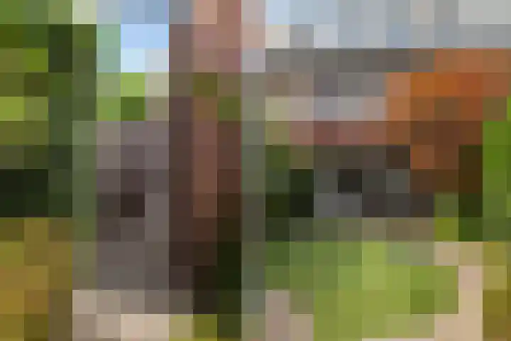 Egeltjeslaar 24 Bavel thumbnail 31
