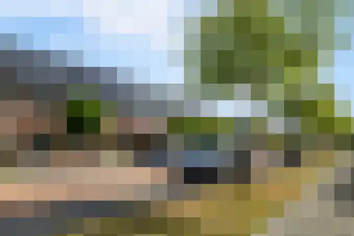 Egeltjeslaar 24 Bavel thumbnail 34