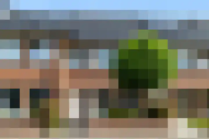 Egeltjeslaar 24 Bavel thumbnail 36
