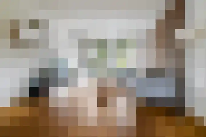 Egeltjeslaar 24 Bavel thumbnail 4