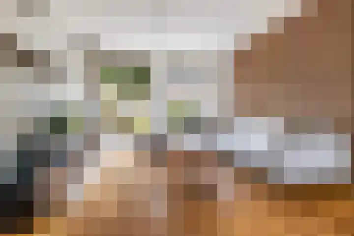 Egeltjeslaar 24 Bavel thumbnail 5