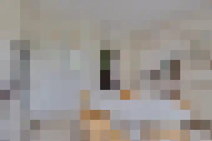Egeltjespad 7 Soest thumbnail 17