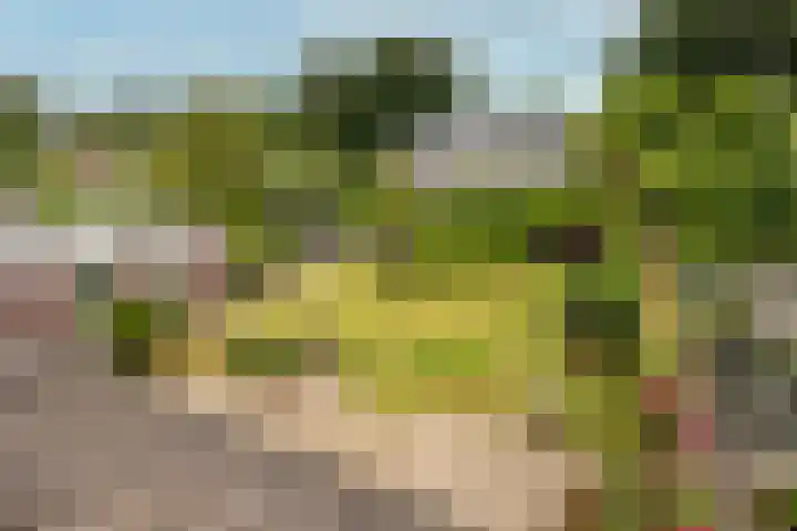 Egeltjespad 7 Soest thumbnail 40