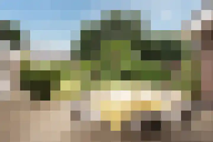Egeltjespad 7 Soest thumbnail 42