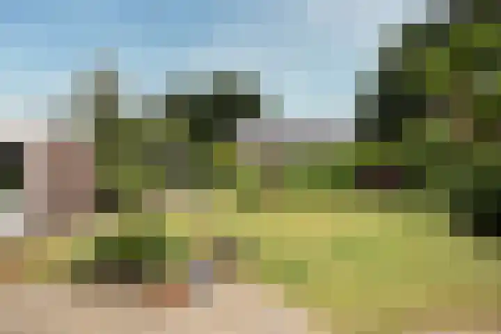 Egeltjespad 7 Soest thumbnail 43