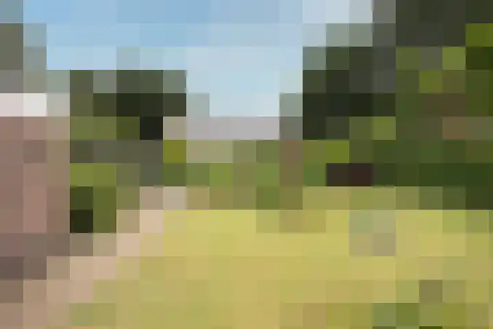 Egeltjespad 7 Soest thumbnail 44