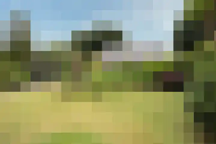 Egeltjespad 7 Soest thumbnail 45