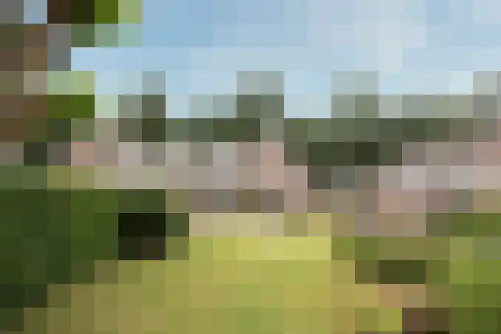 Egeltjespad 7 Soest thumbnail 47