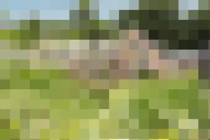 Egeltjespad 7 Soest thumbnail 50