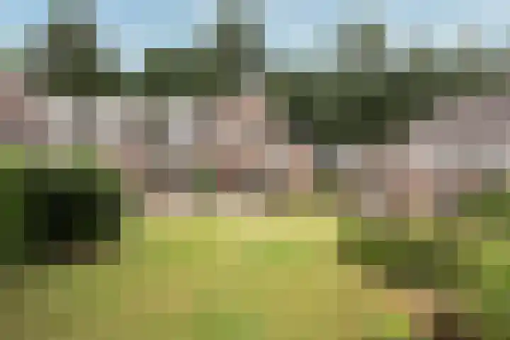 Egeltjespad 7 Soest thumbnail 51