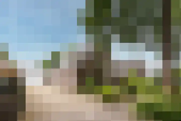 Egeltjespad 7 Soest thumbnail 53