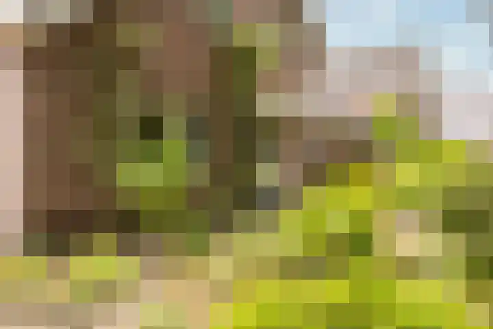 Egeltjespad 7 Soest thumbnail 54