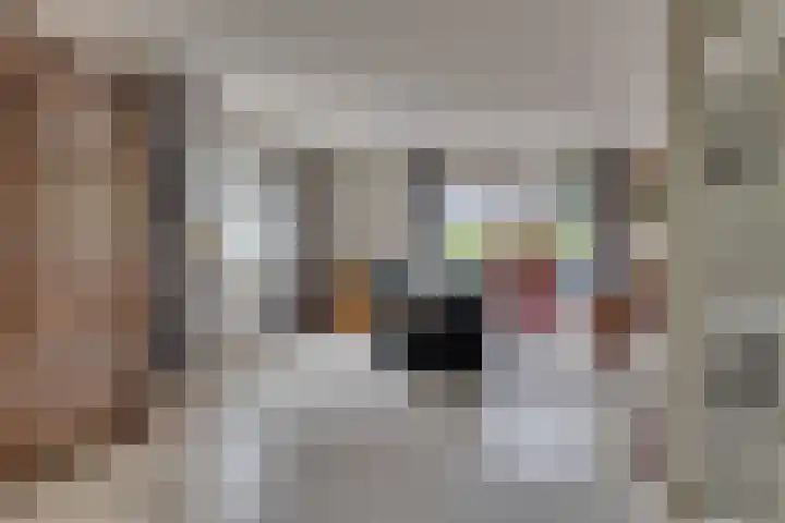 Egeltjespad 7 Soest thumbnail 6