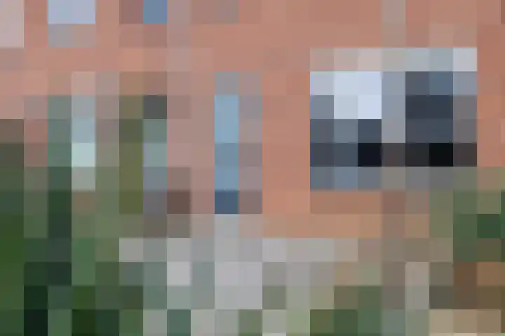 Eggedreef 45 Doetinchem thumbnail 17