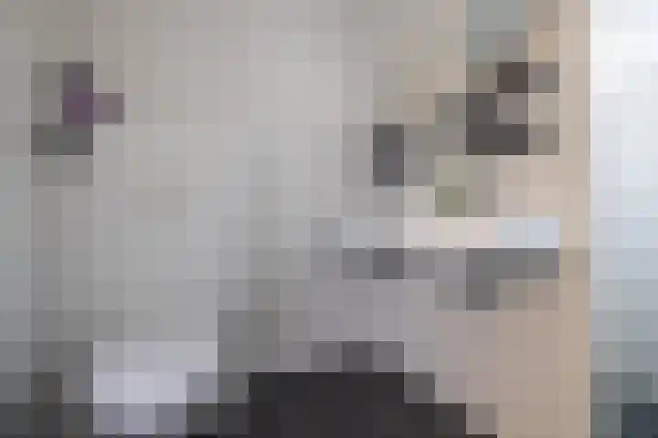 Eggedreef 45 Doetinchem thumbnail 28