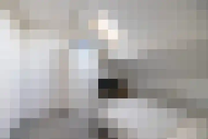 Eggedreef 45 Doetinchem thumbnail 33