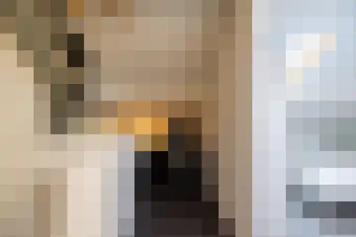 Eggedreef 45 Doetinchem thumbnail 36