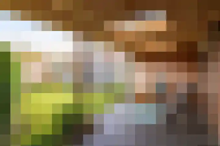 Eggedreef 55 Doetinchem thumbnail 18