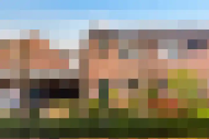 Eggedreef 55 Doetinchem thumbnail 6