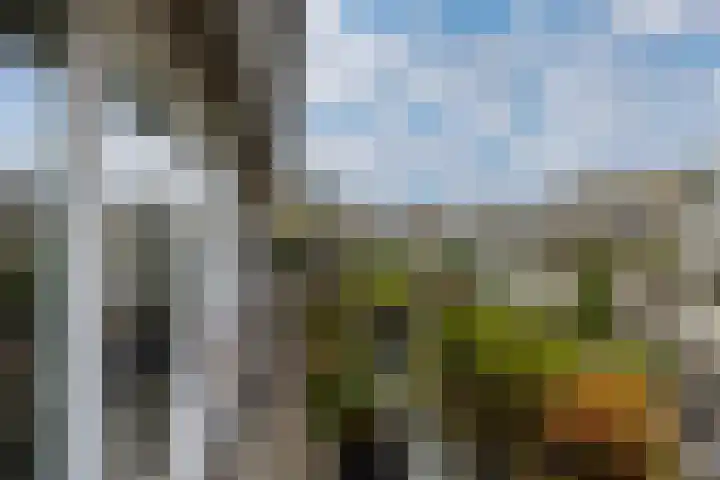Egger 28 Leusden thumbnail 16